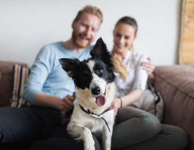 Tenants with Pets - protection for landlords key to progress 