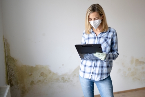 Half of tenants living with damp or mould - charity’s claim